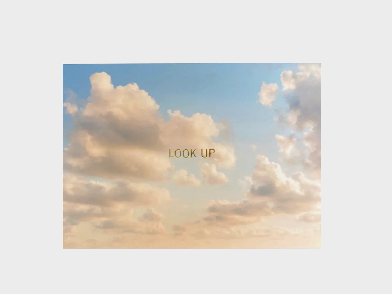 Look Up Postcard Set