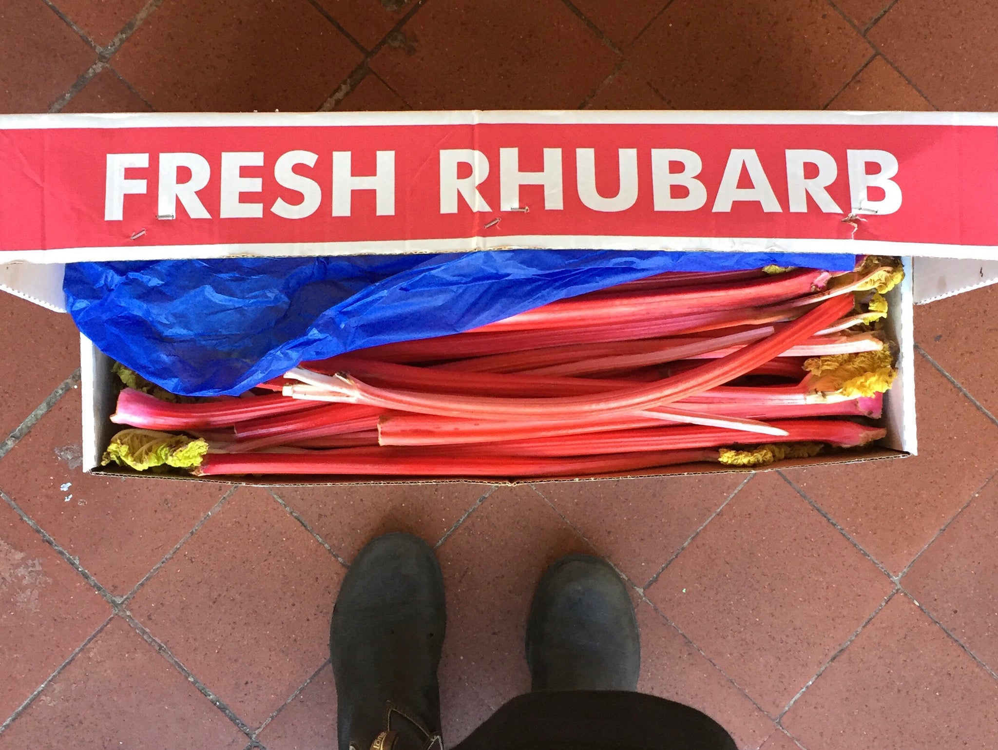 Rhubarb & Cardamom Jam