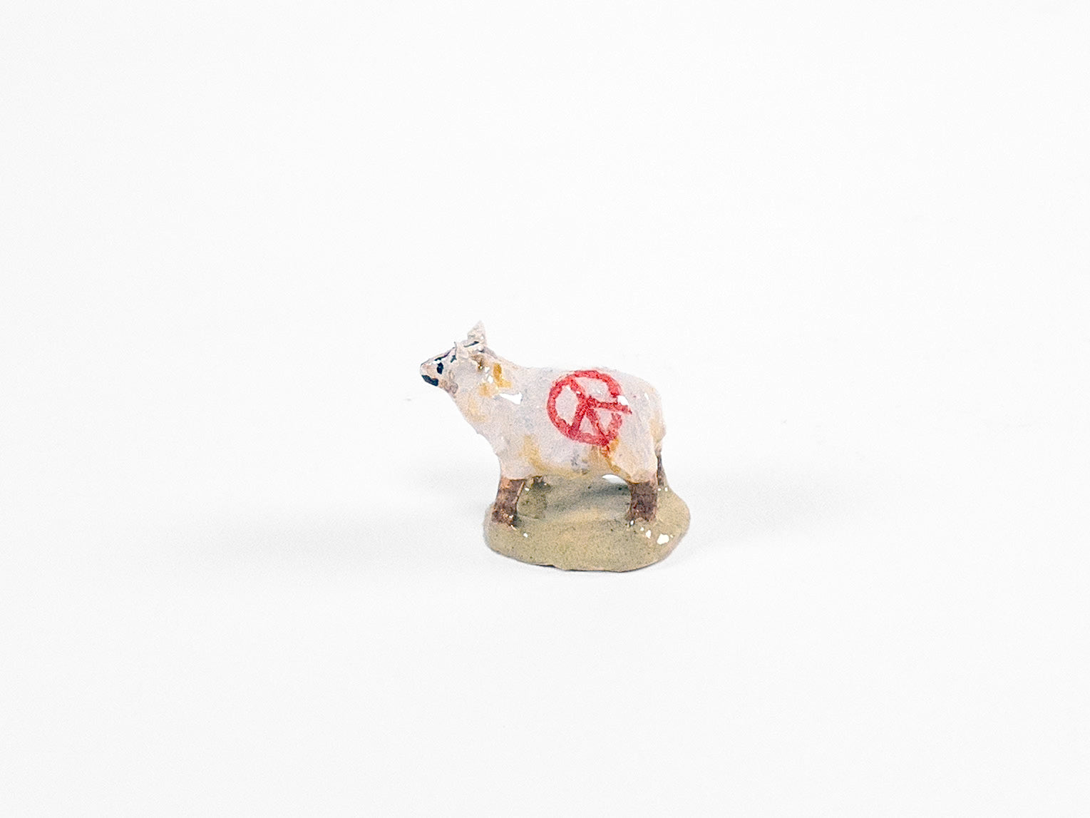 Sheep