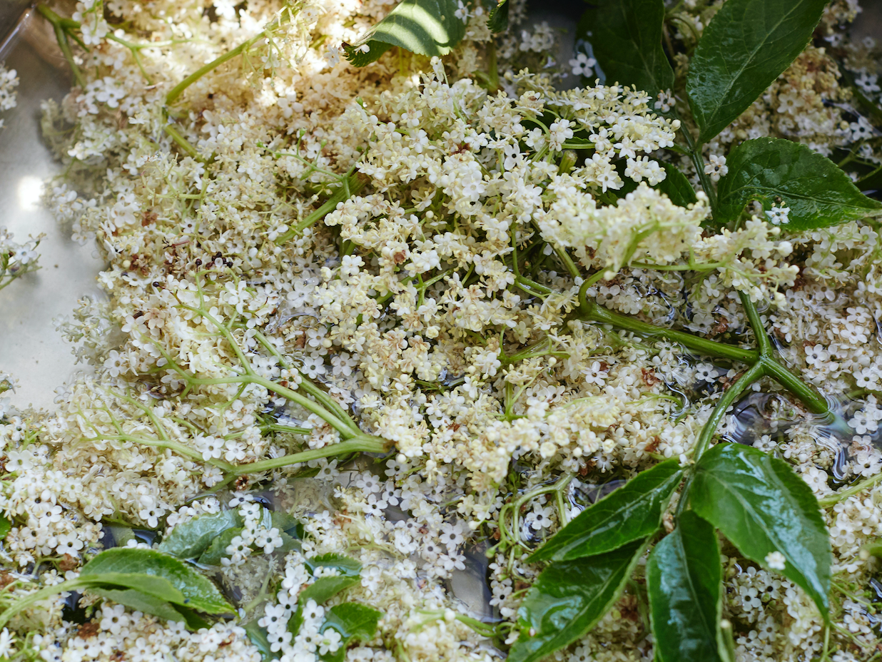 Apricot & Elderflower Jam