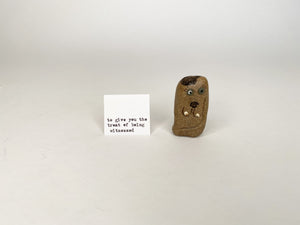 Image of the charm