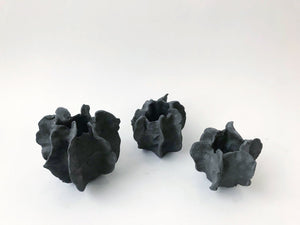 Sea Urchin Vessels