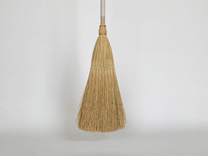 Modern Broom