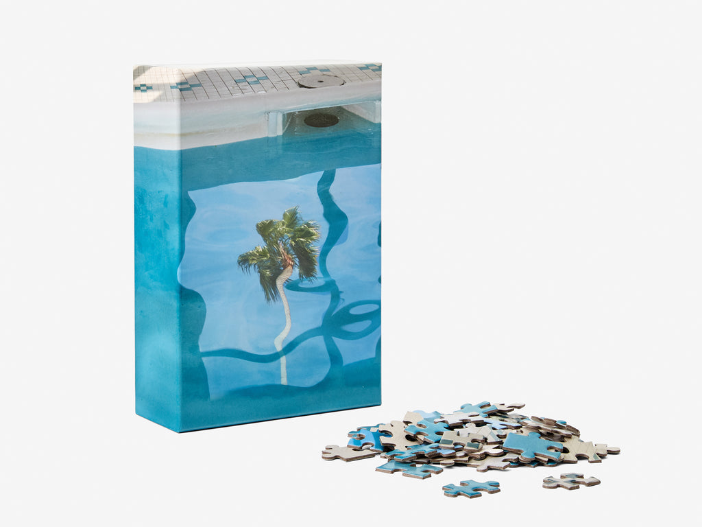 Puzzle in Puzzle