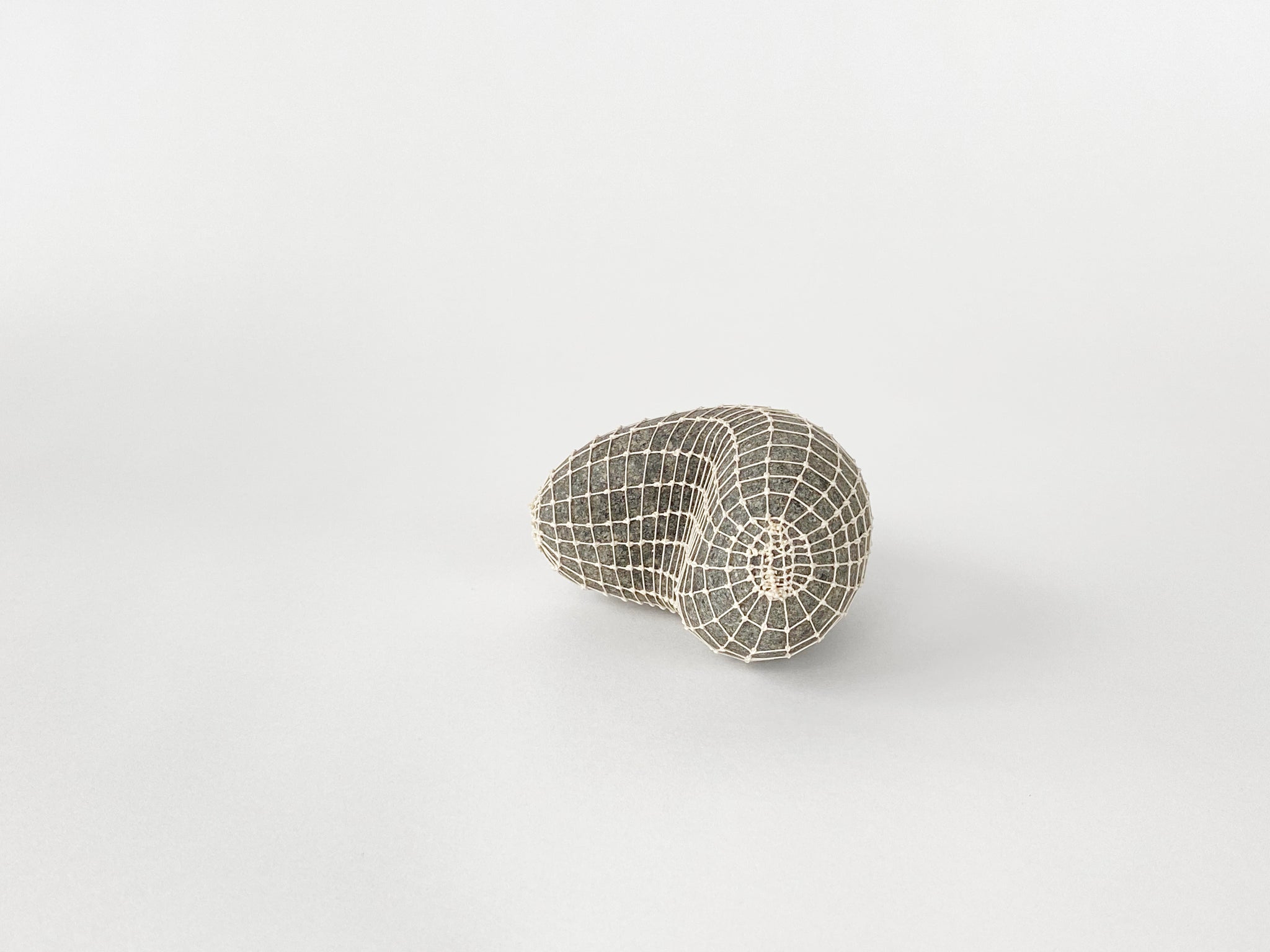 Tightly Curved Palmstone with Grid